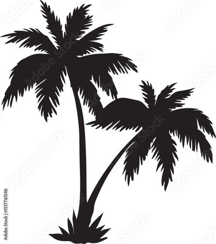 palm tree silhouette