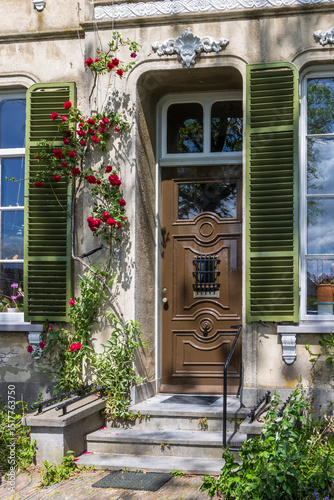 Ancient ornamented brown door of historic mansion with blooming red climbing rose in the old town of Leiden in South-Holland The Netherlands