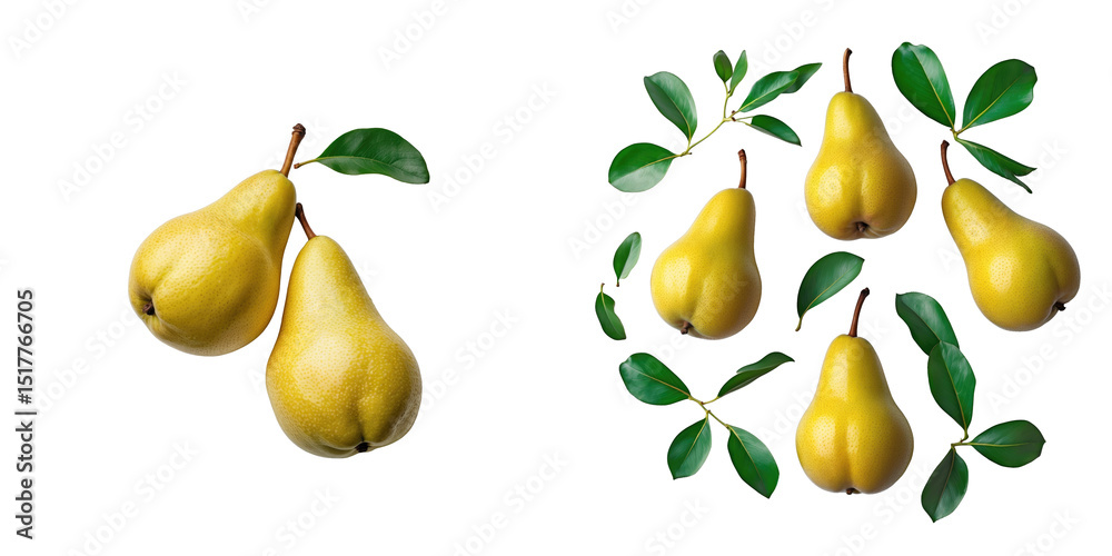 Fresh organic yellow pears on transparent background with green leaves, display of grouped and individual fruits with perfect lighting and sharp detail. Fresh organic yellow pears on transparent background with green leaves, display of grouped and individual fruits with perfect lighting and sharp detail.