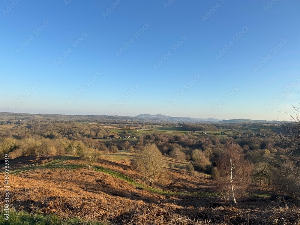 Naklejka premium autumn in the mountains