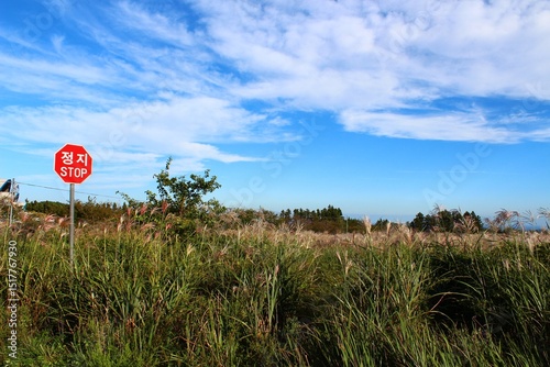 landscape with stop sign