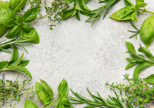 Fresh herbs frame creating empty space on gray background
