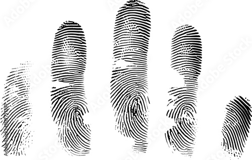 Fingerprints arranged in a row on a white background  
