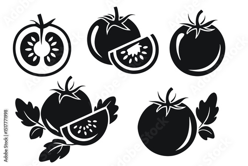 Tomato Vector Illustration Set