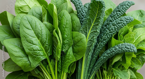 Spinach Kale Green Leafy Vegetables Fresh Healthy Food