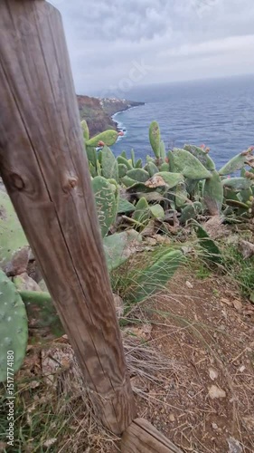 Cristo Rei Viewpoint Caniço, municipality of Santa Cruz, this observatory offers a panoramic perspective over the natural heritage of Garajau, part of Funchal bay, and also Caniço de Baixo
