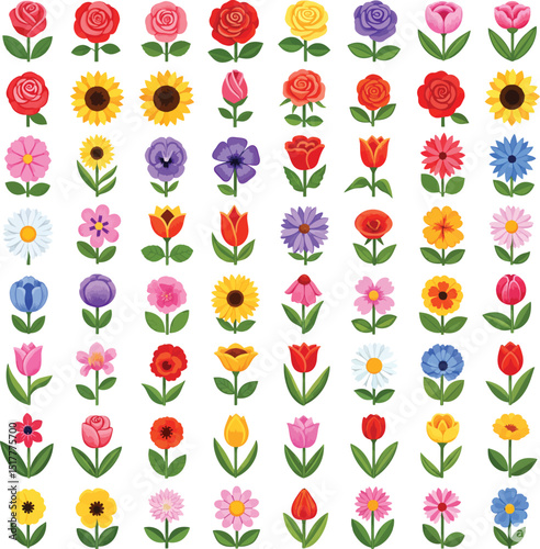 Colorful floral variety collection featuring various types of blossoming flowers and leaves in rows