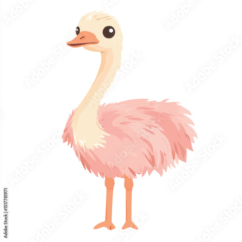 a cute Ostrich