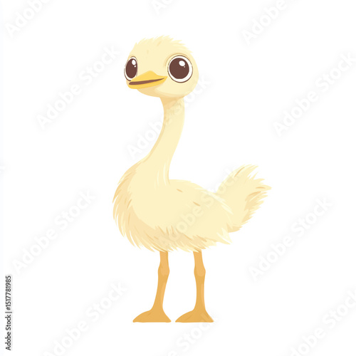 a cute Ostrich