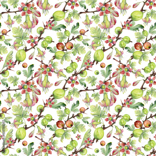 Gooseberry berries flower buds leaves on thorny branch, ripe garden casseille currant. Cut out seamless diagonal pattern hand drawn in watercolor. Home preserves cookbook, packaging, wrapping paper