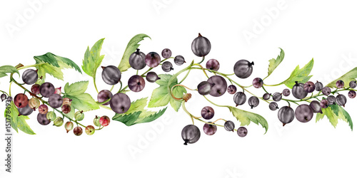 Currant gooseberry clusters with leaves, ripe berry juneberry casseille jostaberry, hand drawn in watercolor. Isolated seamless banner border garland for dessert menu, eco farmers market, gardening