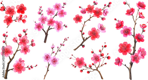 Bright red cherry tree with flowers and leaves on the branches
