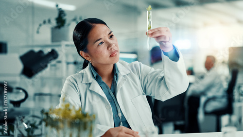 Fotografie Test tube, plant and health with woman and research for climate change, biology or medical