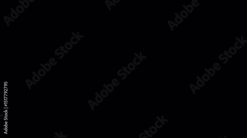4K Fast forward sign moving animation, forward video speed ​​up icon animation on transparent background and green screen, alpha channel, chroma key 