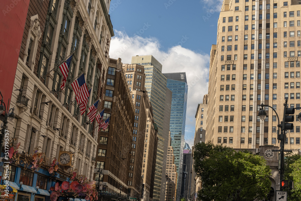 Obraz premium New York's skyscrapers are vertical architectural structures of great impact