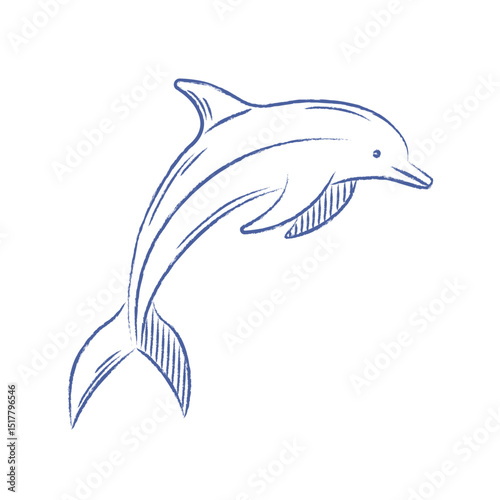 Dolphin vector. Doodle dolphin with pencil texture, chalk. Vector isolated element