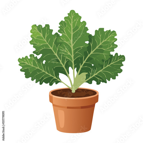 Detailed Kale or Collard Green Plant