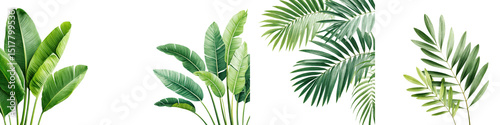 Wallpaper Mural Lush, vibrant green foliage featuring various tropical leaves, showcasing organic shapes and textures for nature-inspired decor and interior design projects, perfect as backgrounds and accents. Torontodigital.ca