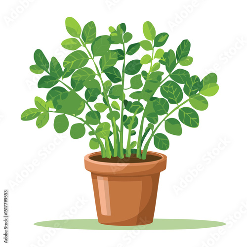 Lush Pea Plant in a Clay Pot