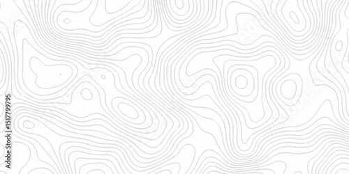 Vector geographic contour map. Topography map background. Black and white wave Seamless line. Topography relief. White wave paper curved reliefs abstract. Topographic map patterns,topography line map.