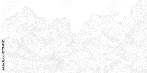 Vector geographic contour map. Topography map background. Black and white wave Seamless line. Topography relief. White wave paper curved reliefs abstract. Topographic map patterns,topography line map.