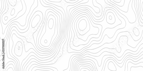 Vector geographic contour map. Topography map background. Black and white wave Seamless line. Topography relief. White wave paper curved reliefs abstract. Topographic map patterns,topography line map.