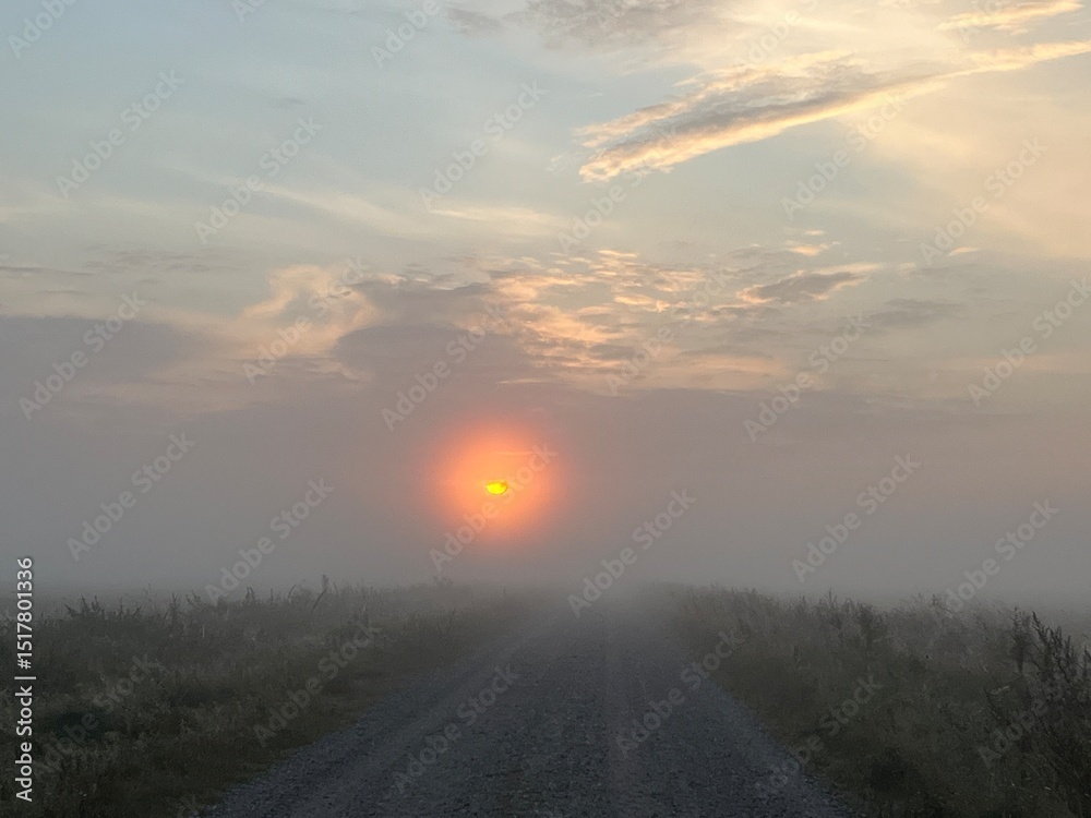 Fototapeta premium sunrise in the fog over the road a misty morning