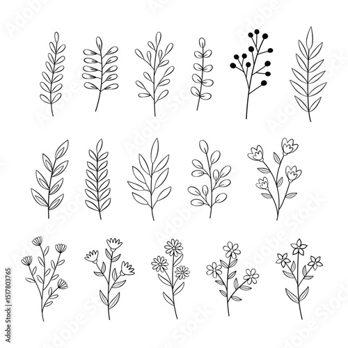 Hand drawn  flat flower  collection