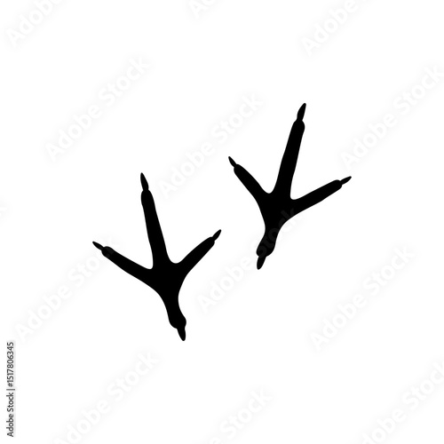 Two Turkey Track or Footprint silhouette vector flat illustration on white background.