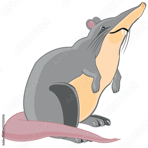 Wildlife nutria on white background is insulated