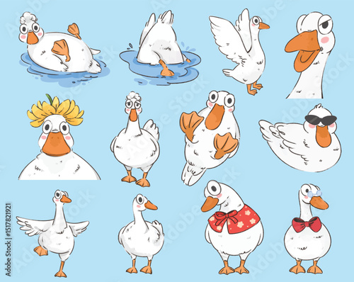 duck 1