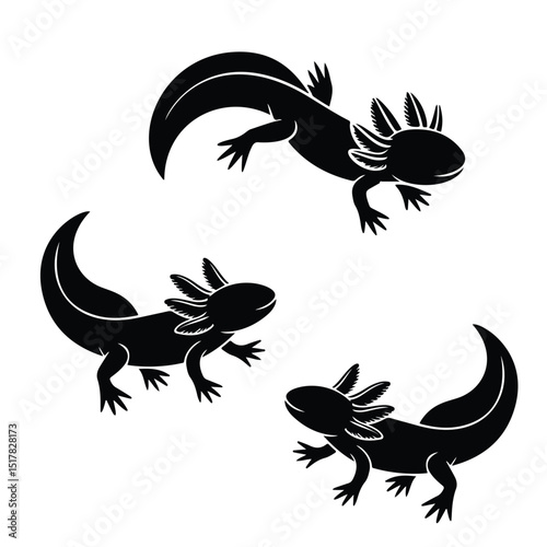 Artistic black and white illustrations of three cute axolotl salamanders isolated on white background