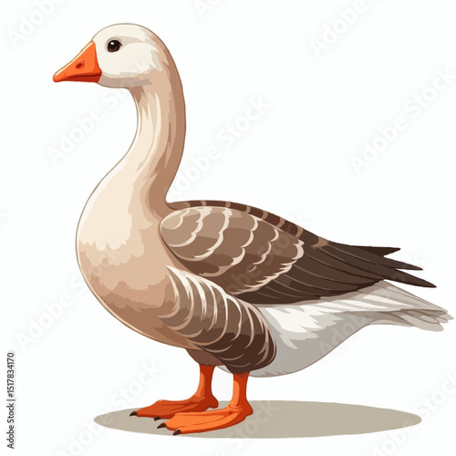 Goose Illustration: A striking illustration of a goose, showcasing the bird's graceful posture, unique plumage patterns, and vibrant orange beak and feet.