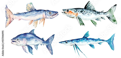 Fish watercolor vector illustration, underwater ocean animal art isolated on white background