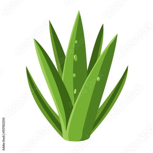 My Simple flat 2D icon aloe vera isolated on transparent background, vector, flat design, animation design, vector, flat design, animation design, simple flat 2D icon, minimalist design