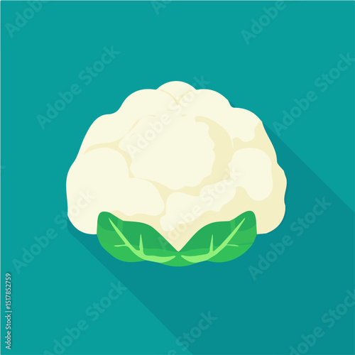 My Simple flat 2D icon whole cauliflower isolated on transparent background, vector, flat design, animation design, vector, flat design, animation design, simple flat 2D icon, minimalist design