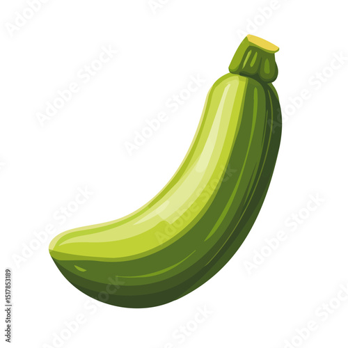 My Simple flat 2D icon whole zucchini isolated on transparent background, vector, flat design, animation design, simple flat 2D icon, minimalist design, Eps Format