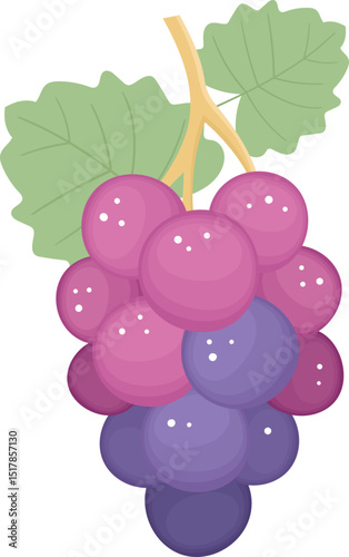 Grapes fruit clipart design illustration