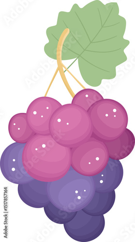 Grapes fruit clipart design illustration