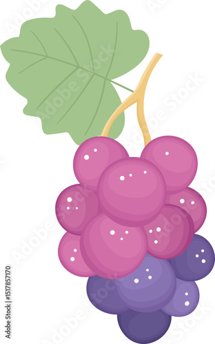 Grapes fruit clipart design illustration