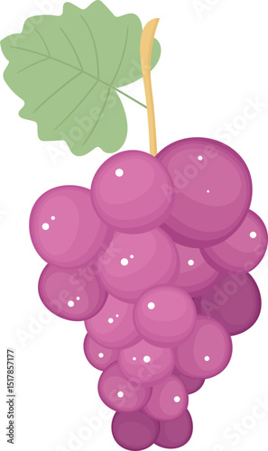 Grapes fruit clipart design illustration