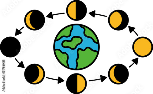 illustration of a lunar cycle