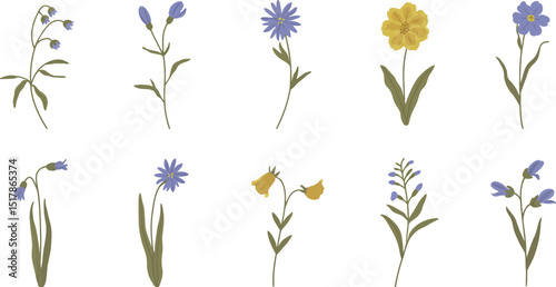 Illustration of ten different wildflower species with varying colors and shapes on a white background