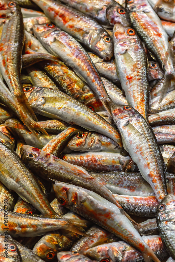 Obraz premium Fresh red mullet fish at Istanbul market, Turkey