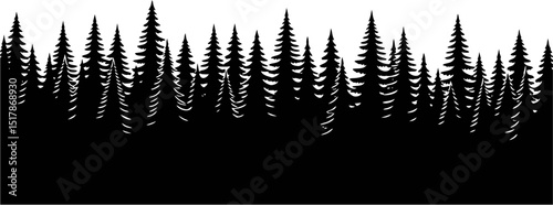 Majestic Silhouette of a Coniferous Forest A Panoramic View of Evergreen Trees