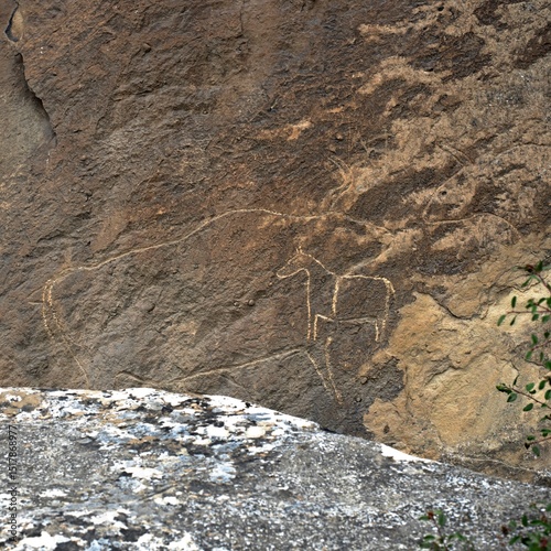 Rock paintings of animals painted by ancient people in Gobustan, Azerbaijan