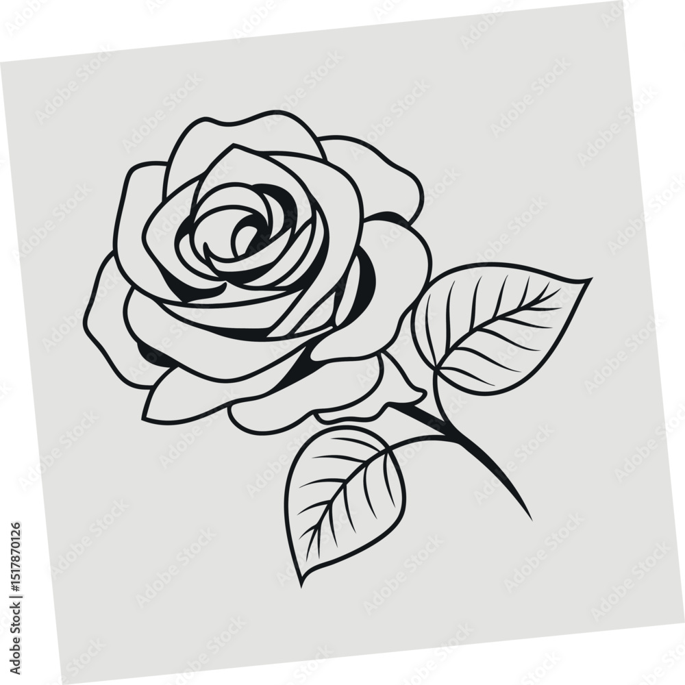 Elegant black and white rose illustration showing a detailed outline of a beautiful flower Elegant black and white rose illustration showing a detailed outline of a beautiful flower