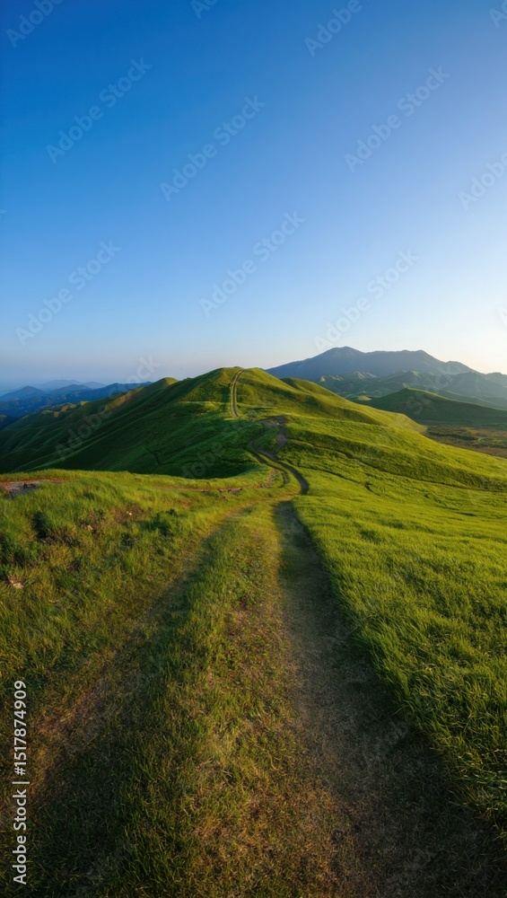 Naklejka premium Serene green hills path winding upward under blue sky