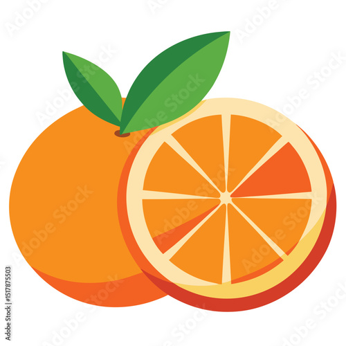 Orange Fruit Slices Vector orange with leaves