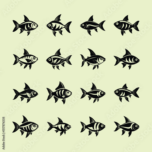 Congo Tetra, aquarium fish vector art illustration